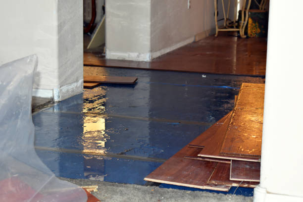 Professional Basement Flood Cleanup technician working in Clarksville, NY